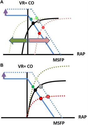 Cardiopulmonary interactions—which monitoring tools to use?